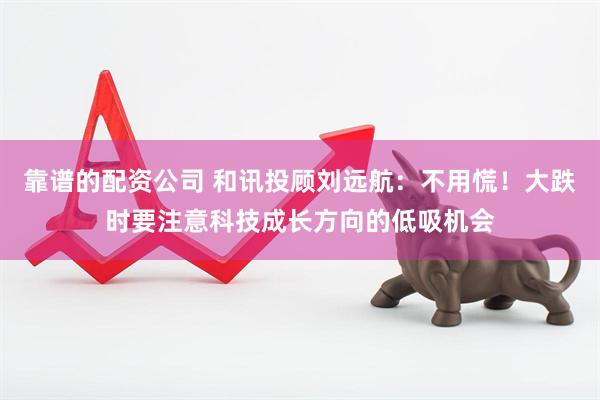靠谱的配资公司 和讯投顾刘远航：不用慌！大跌时要注意科技成长方向的低吸机会