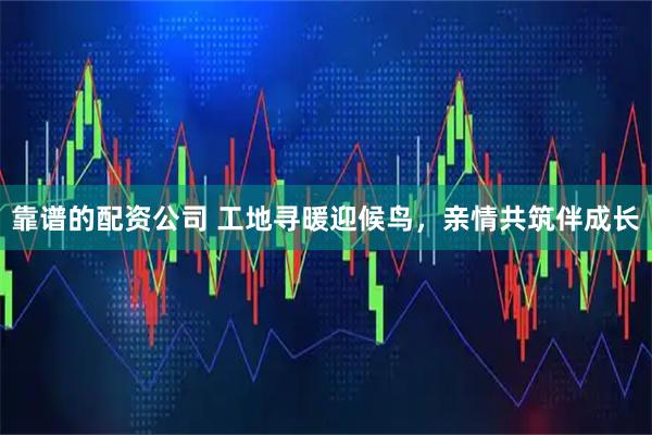 靠谱的配资公司 工地寻暖迎候鸟，亲情共筑伴成长