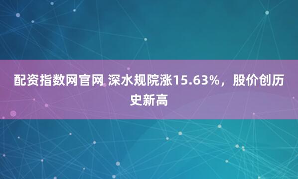 配资指数网官网 深水规院涨15.63%，股价创历史新高